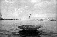 photography gallery pictures compositions Fotografie Photographie Bilder Galerie art compositions Serien views Ansichten Portrait Landschaften landscapes DDR GDR exhibition Ausstellung travel Reise black white Alpen Stuttgart west coast trail corse New York Washington Scotland Rostock Karl-Marx-Stadt Chemnitz Falkenstein Geyer Torsten Mller Mueller people series different topics sorted alpine mountains special spirit of the moment