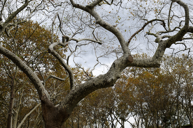 SPIRIT OF THE MOMENT